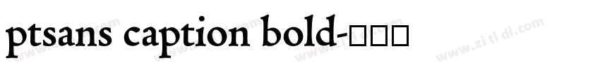 ptsans caption bold字体转换